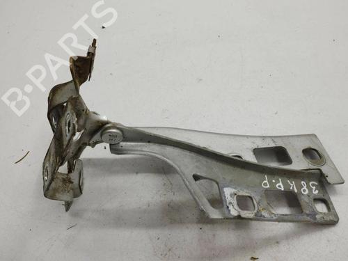 Hinge/Door check strap OPEL ZAFIRA / ZAFIRA FAMILY B (A05) 1.9 CDTI (M75) | BP28877627C146 
