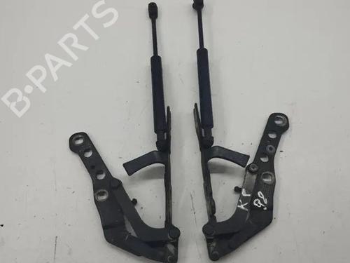 Used Hinge/Door check strap BMW X3 (E83) 2.0 d (150 hp) 28841496