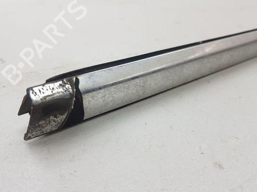 Door moulding trim BMW 7 (E65, E66, E67) 730 d | BP28891826C150 