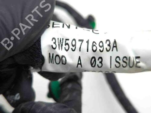 Wiring harness BENTLEY CONTINENTAL FLYING SPUR (3W_) 6.0 | BP28883462E16 