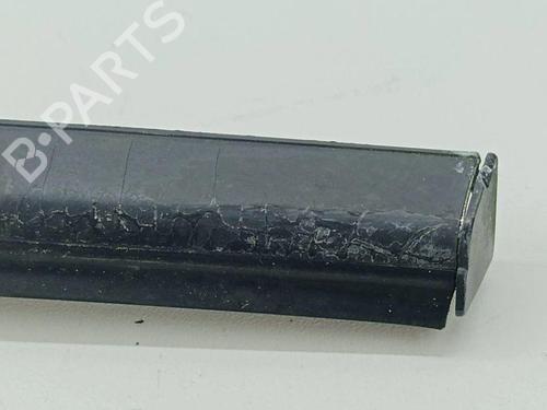 Door moulding trim INFINITI FX 35 All-wheel Drive | BP28896401C150 