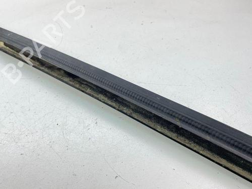 Door moulding trim CITROËN DS4 (NX_) 2.0 HDi 165 | BP28890127C150 