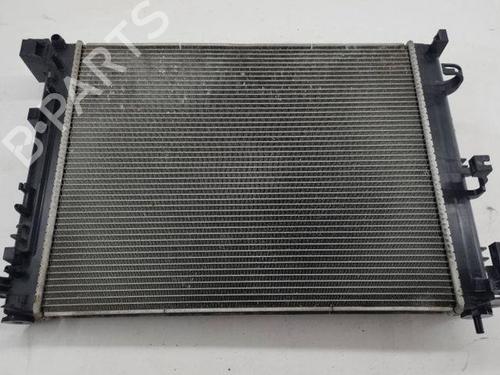 Used Water radiator NISSAN JUKE (F16_) 1.0 (114 hp) 28854291