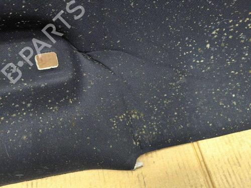 Techo interior FORD KUGA III (DFK) 2.5 Duratec Plug-in-Hybrid | BP38278611I12 - Image 3