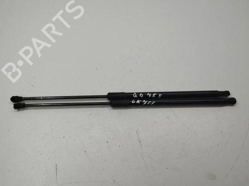 Tailgate lift support VW GOLF VIII (CD1, DA1) 1.0 TSI | BP28898316C138 