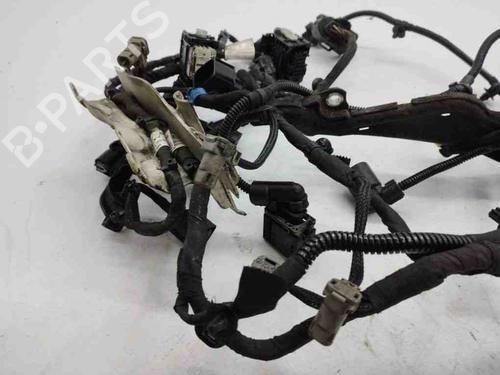 Wiring harness MERCEDES-BENZ E-CLASS (W213) E 220 d (213.004) | BP28904552E16 