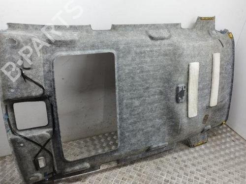 Interior roof TOYOTA RAV 4 III (_A3_) 2.2 D 4WD (ALA30_, ALA30R) | BP28848860I12 