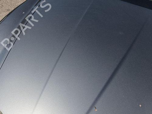 Hood MASERATI QUATTROPORTE V 4.2 | BP28893580C1 