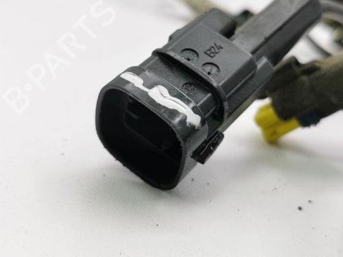 Wiring harness PEUGEOT 407 Coupe (6C_) 2.0 HDi | BP28842090E16 