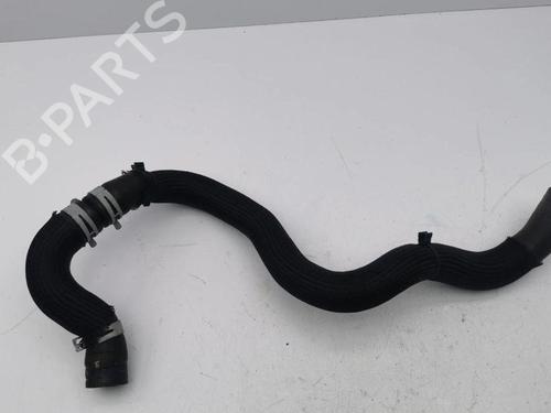 Used Pipe NISSAN QASHQAI II (J11, J11_) 1.3 DIG-T (140 hp) 28897161