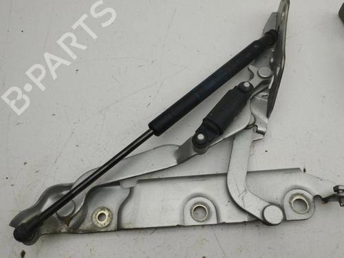Hinge/Door check strap JAGUAR XF I (X250) 2.7 D | BP28888762C146 