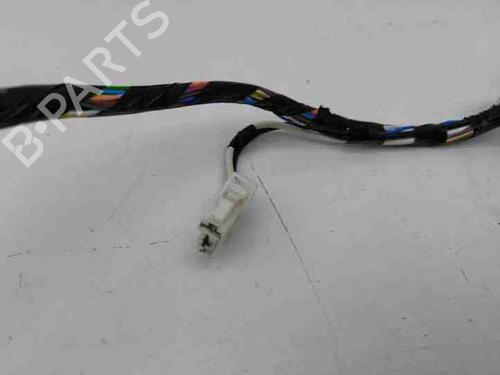 Wiring harness NISSAN QASHQAI II (J11, J11_) 1.5 dCi | BP28862036E16 