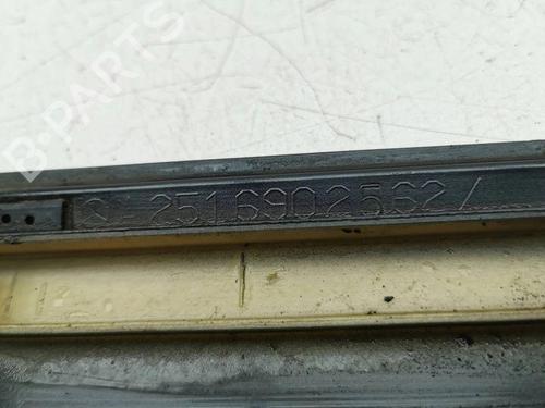 Door moulding trim MERCEDES-BENZ R-CLASS (W251, V251) R 320 CDI 4-matic (251.022, 251.122) | BP28889131C150 