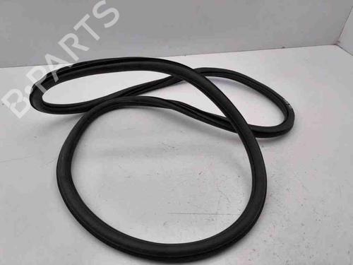 Gummiliste VW T-ROC (A11, D11) 1.0 TSI | BP28899623C142 