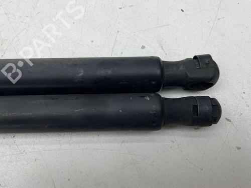 Tailgate lift support FORD KUGA I 2.0 TDCi 4x4 | BP28893379C138 