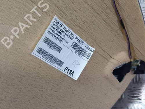 Interior roof NISSAN JUKE (F16_) 1.0 | BP28854272I12 