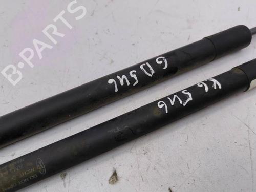 Tailgate lift support FORD GRAND C-MAX (DXA/CB7, DXA/CEU) 2.0 TDCi | BP28894418C138 