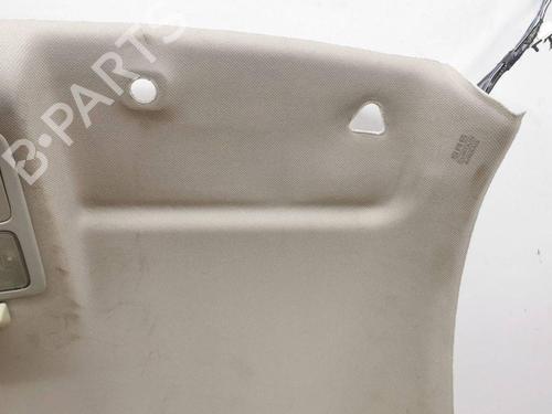 Interior roof NISSAN 350Z Coupe (Z33) 3.5 (AAZ33) | BP28882416I12 