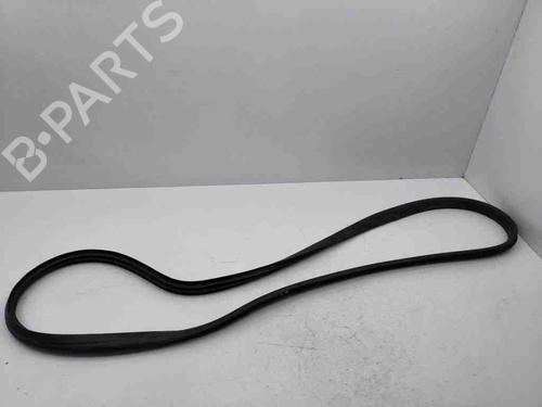 Used Rubber door seal RENAULT CLIO V (B7_) 1.3 TCe 130 (B7MF) (131 hp) 28897008