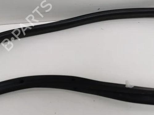 Rubber door seal CITROËN C4 III (BA_, BB_, BC_) ë-C4 (BCZKXC, BZCKSC) | BP28865085C142 