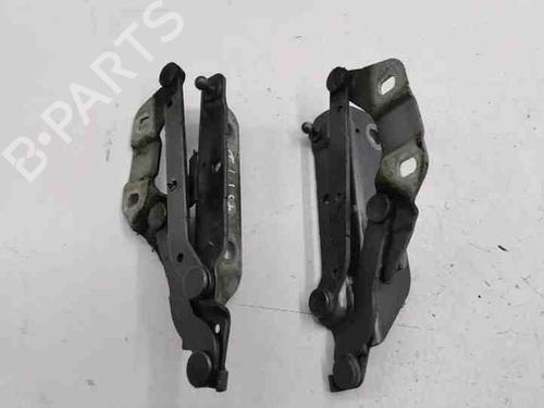 Used Hinge/Door check strap LAND ROVER RANGE ROVER EVOQUE (L538) 2.2 D 4x4 (190 hp) 28859727