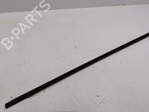 Door moulding trim BMW X5 (E53) 4.4 i | BP28897818C150 
