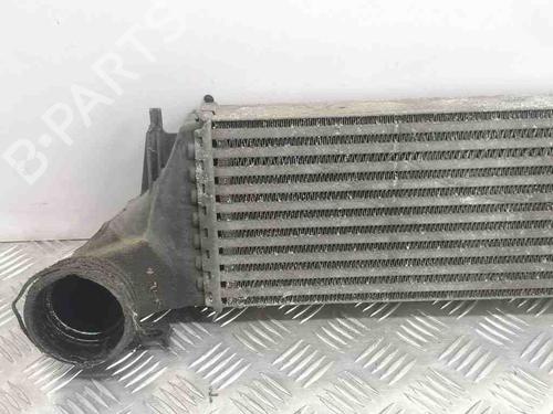 Intercooler BMW X5 (E53) 3.0 d | BP28886124M30 