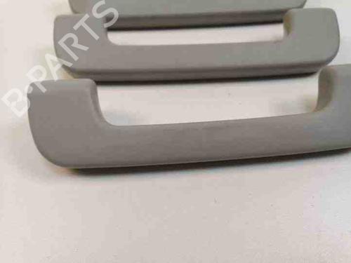 Interior roof handle AUDI ALLROAD C5 (4BH) 2.5 TDI quattro | BP28866088I35