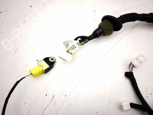 Ledningsnett TOYOTA GT 86 Coupe (ZN6_) 2.0 (ZN6AC_, ZN6BC_, ZN6K) | BP29813089E16