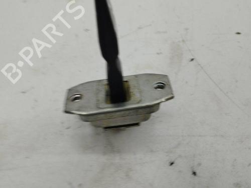 Hinge/Door check strap NISSAN QASHQAI II (J11, J11_) 1.3 DIG-T | BP28897099C146 