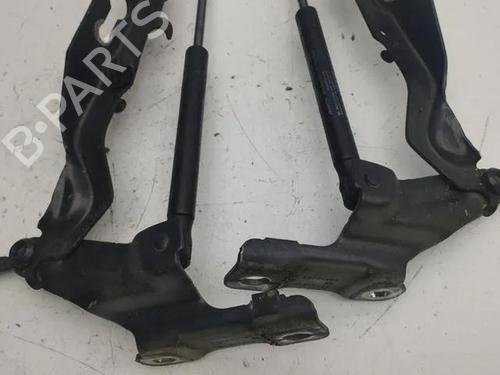 Hinge/Door check strap VOLVO XC60 II (246) D4 | BP28862393C146 