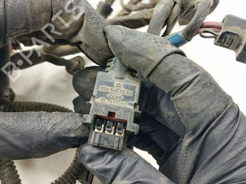 Wiring harness MERCEDES-BENZ A-CLASS (W169) A 170 (169.032, 169.332) | BP28895672E16 