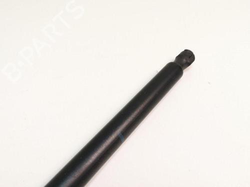 Tailgate lift support FORD GRAND C-MAX (DXA/CB7, DXA/CEU) 1.6 TDCi | BP28885159C138 
