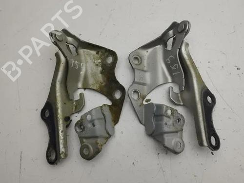 Used Hinge/Door check strap RENAULT CLIO III Hatchback Van (SB_, SR_) 1.5 dCi (106 hp) 28841797