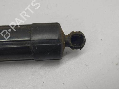 Tailgate lift support LAND ROVER RANGE ROVER EVOQUE (L538) 2.2 D 4x4 | BP28898705C138 