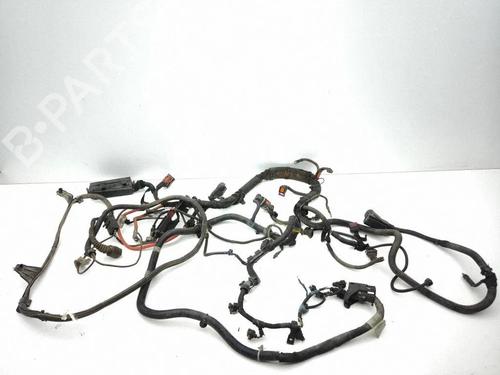 Used Wiring harness Wiring harness OPEL VECTRA C Estate (Z02) 1.9 CDTI (F35) (120 hp) 40208785 40208785