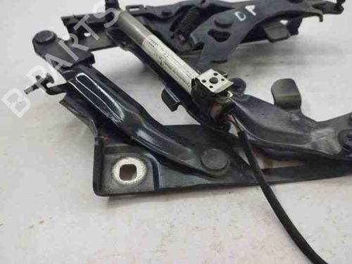 Hinge/Door check strap AUDI Q5 (8RB) 2.0 TDI quattro | BP28855466C146 