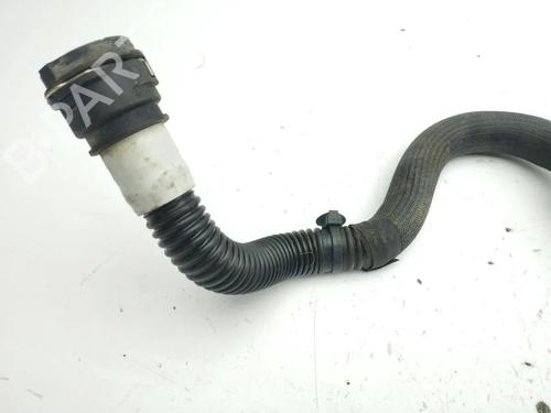 Pipe TESLA MODEL 3 (5YJ3) EV | BP36062729M125 - Image 3