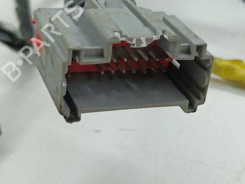 Wiring harness LAND ROVER RANGE ROVER EVOQUE (L538) 2.2 D 4x4 | BP28898655E16