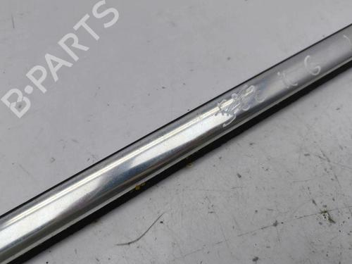 Door moulding trim FORD C-MAX II (DXA/CB7, DXA/CEU) 1.0 EcoBoost | BP28888004C150 