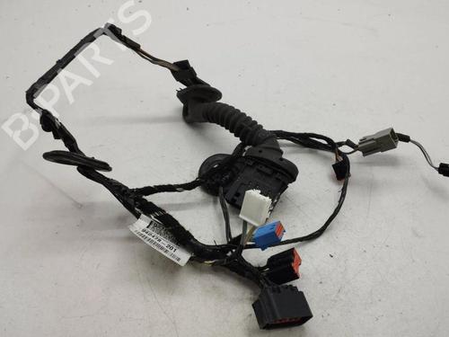 Used Wiring harness FORD GRAND C-MAX (DXA/CB7, DXA/CEU) 2.0 TDCi (163 hp) 28902887