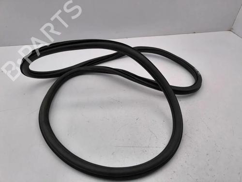 Gummiliste VW T-ROC (A11, D11) 1.0 TSI | BP36313912C142  - Image 5