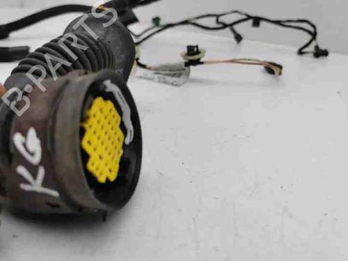 Wiring harness PEUGEOT 508 I (8D_) 2.0 HDi | BP28849439E16 