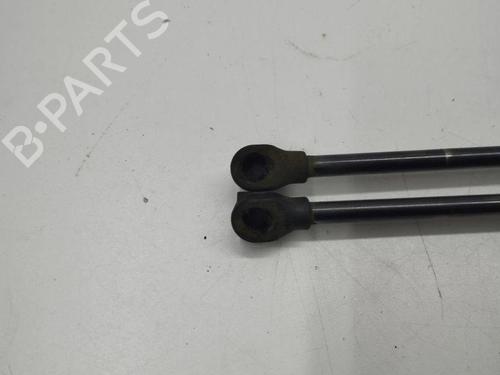 Tailgate lift support VW GOLF VIII (CD1, DA1) 1.0 TSI | BP28898316C138 