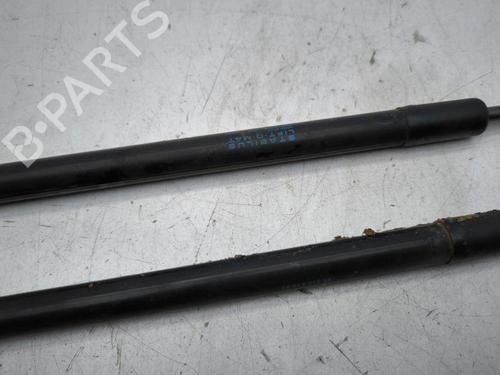 Tailgate lift support CITROËN DS4 (NX_) 1.6 HDi 110 | BP28887716C138 