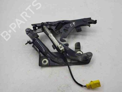 Used Hinge/Door check strap AUDI Q5 (8RB) 2.0 TDI quattro (190 hp) 28855466