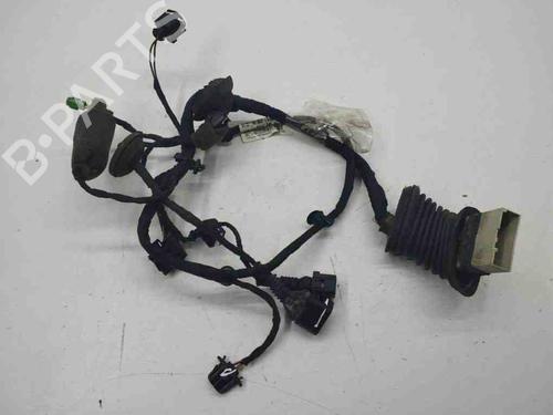 Wiring harness BENTLEY CONTINENTAL FLYING SPUR (3W_) 6.0 | BP28898552E16 