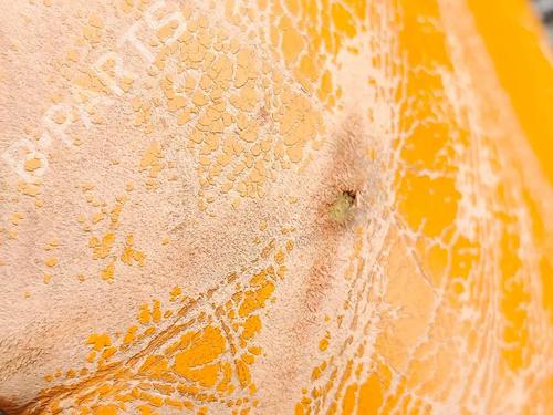 Right front seat NISSAN 350Z Roadster (Z33) 3.5 (AAZ33) | BP30805852C16