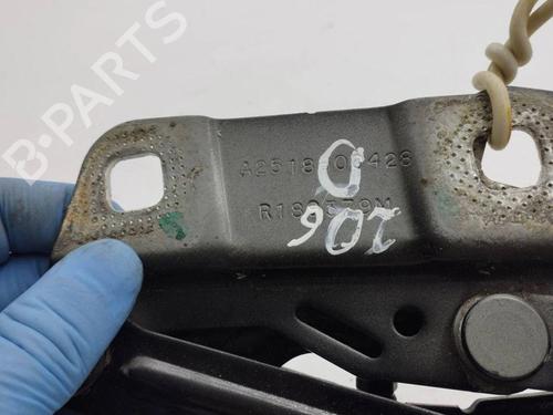 Hinge/Door check strap MERCEDES-BENZ M-CLASS (W164) ML 280 CDI 4-matic (164.120) | BP28875079C146 