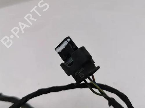 Electronic module AUDI A7 Sportback (4GA, 4GF) 3.0 TDI | BP28855238M83
